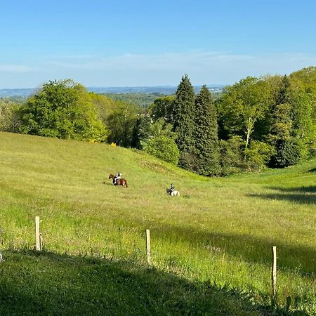 Domaine De Montmery Sa Piscine Son Jardin Ses Espaces Ambazac Kültér fotó