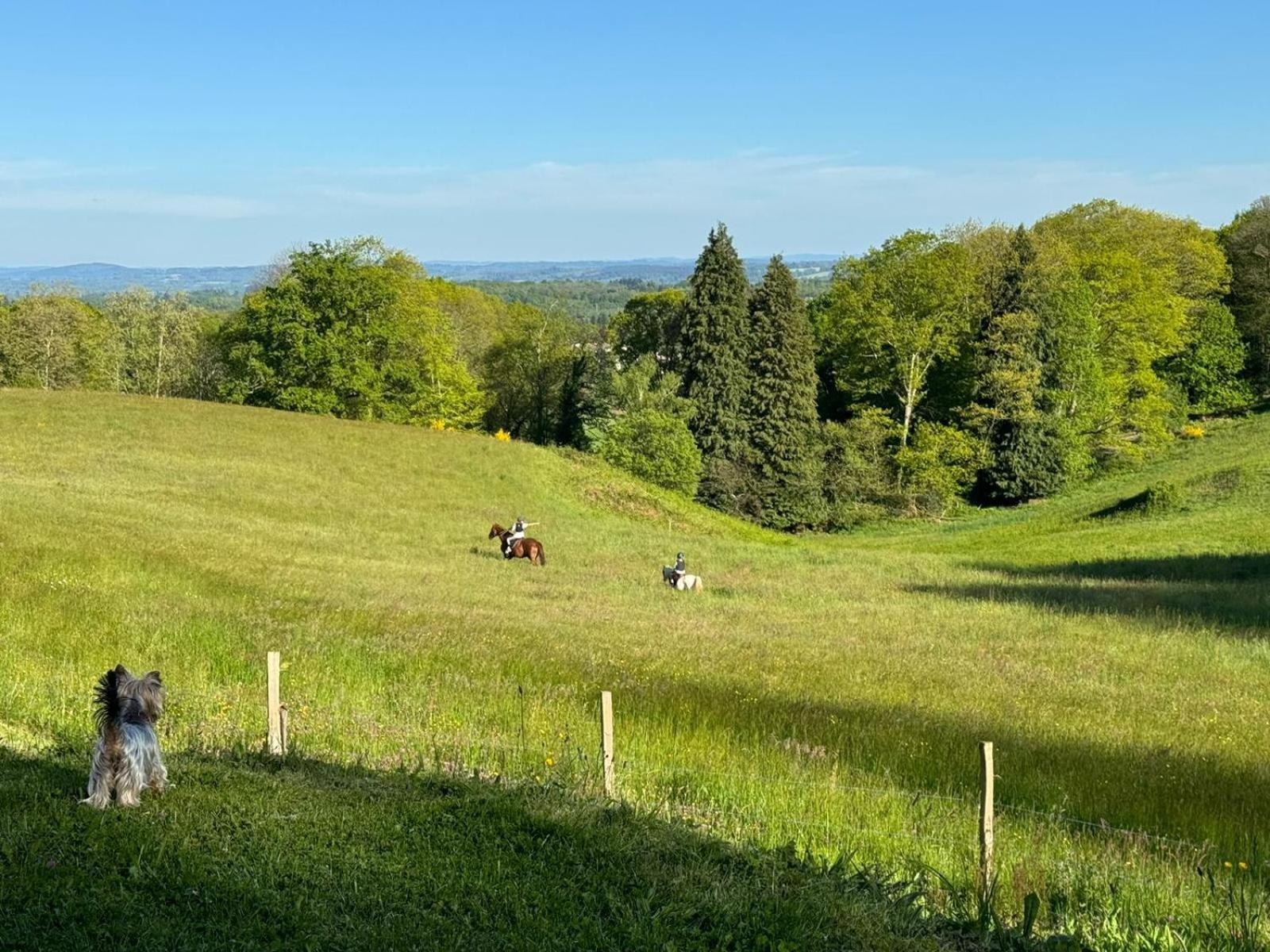 Domaine De Montmery Sa Piscine Son Jardin Ses Espaces Ambazac Kültér fotó