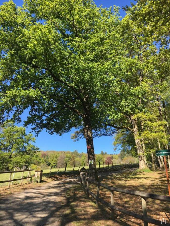 Domaine De Montmery Sa Piscine Son Jardin Ses Espaces Ambazac Kültér fotó